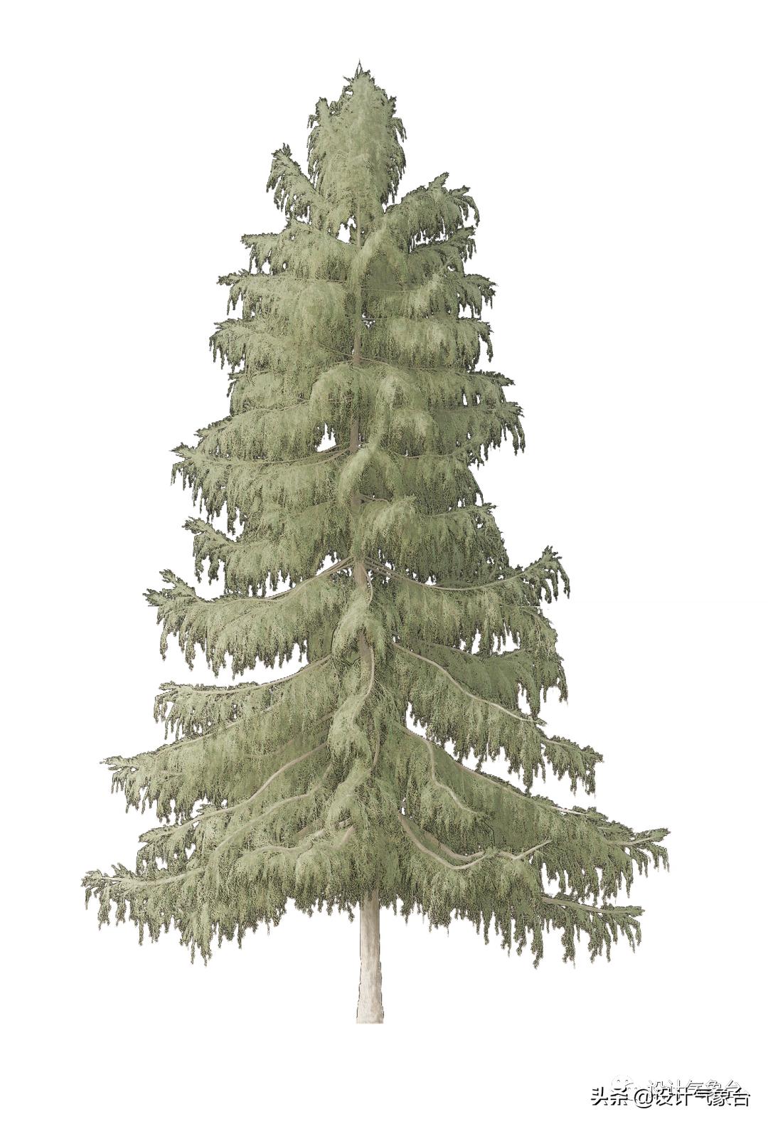 惜败扎哈事务所，但OMA的中国风方案留下一抹惊艳的色彩