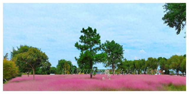 国字号的地质大学武汉、石油大学华东、矿业大学徐州的实力如何？