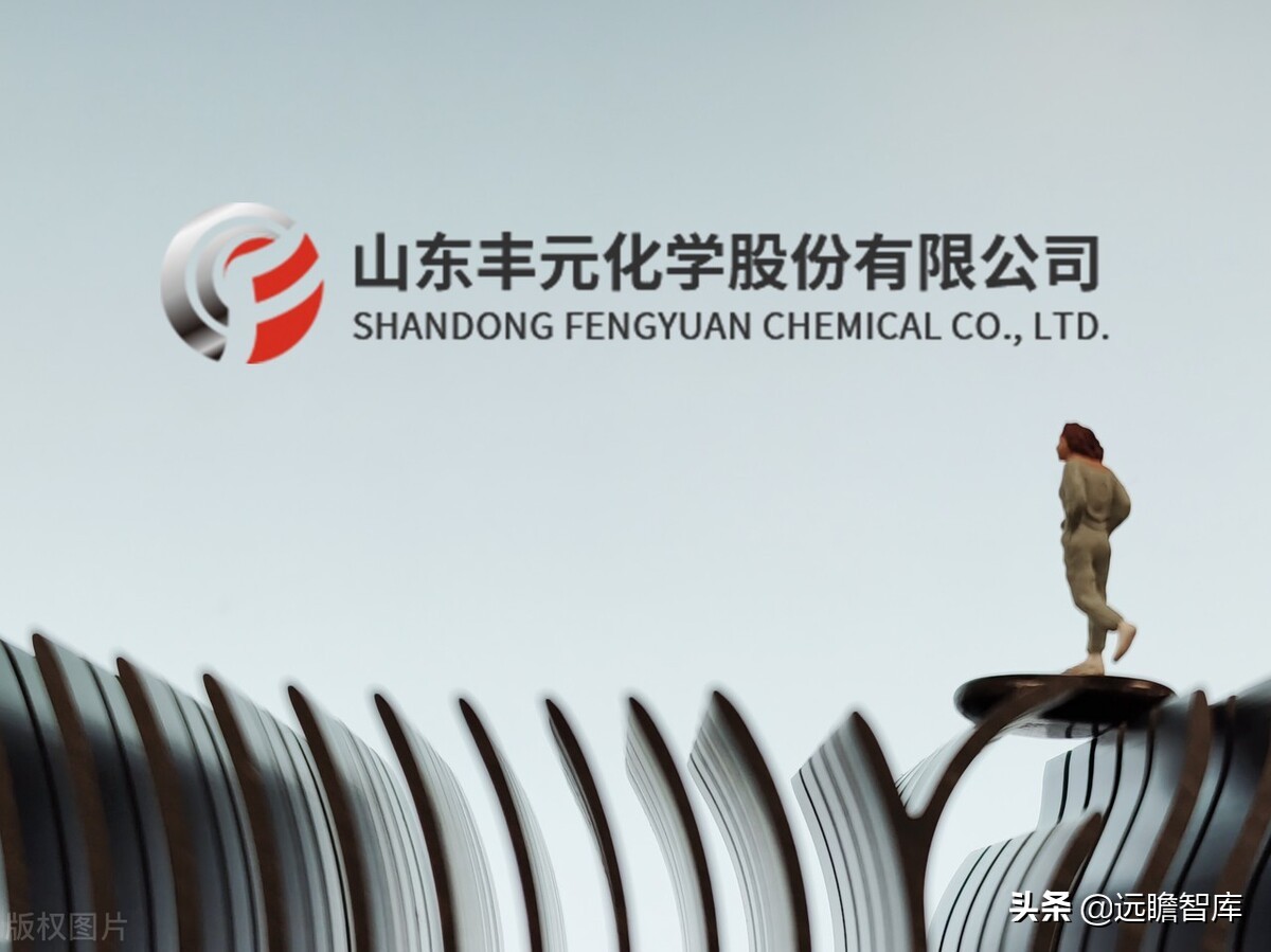 正极材料前三名丰元股份,丰元股份锂电池正极材料生产基地