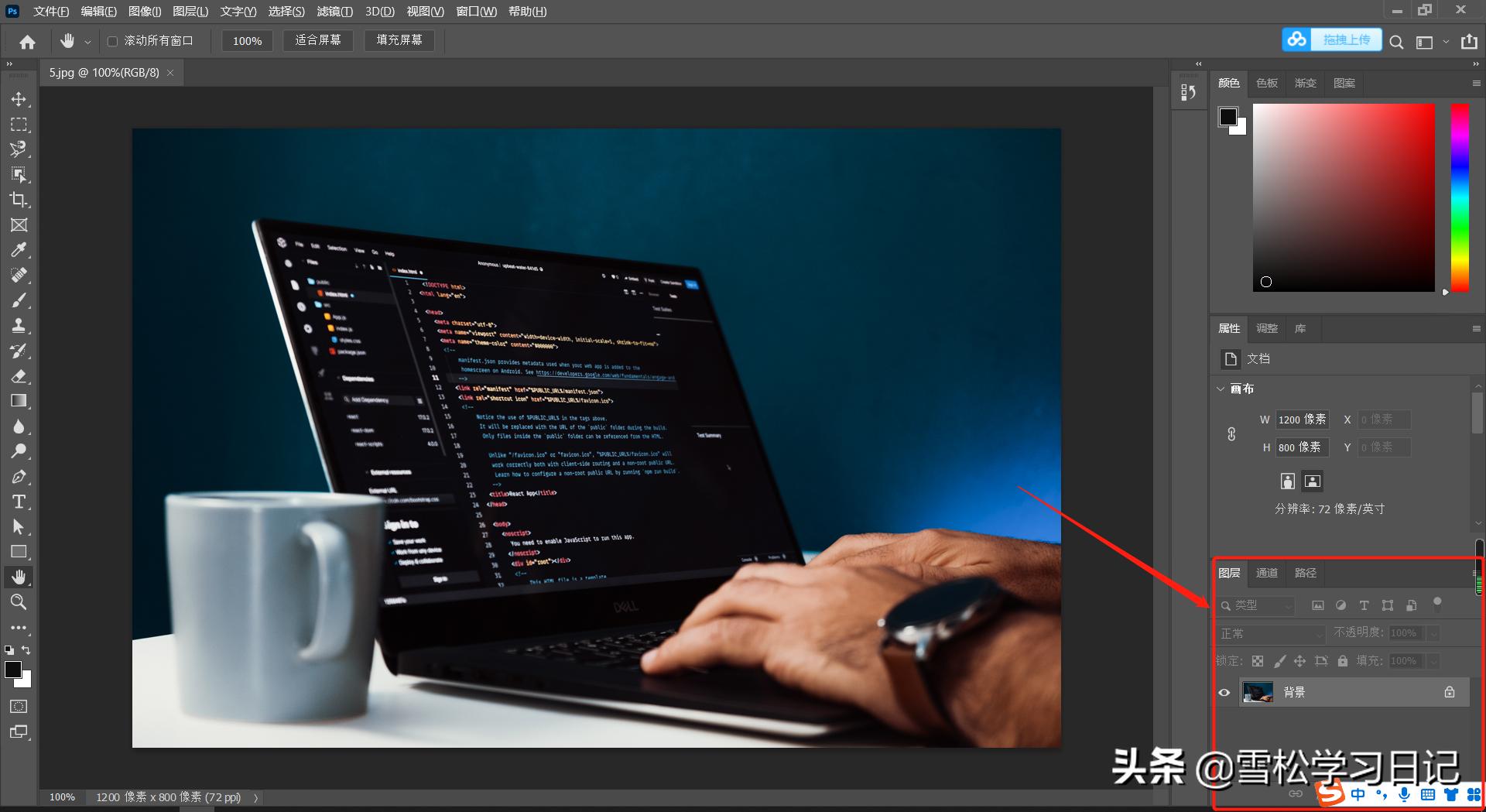 ps图层入门教程零基础,ps入门教程掌握图层的基本操作