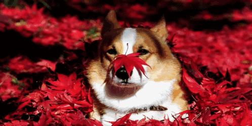 你读博了，你当初的本科舍友都怎样了？