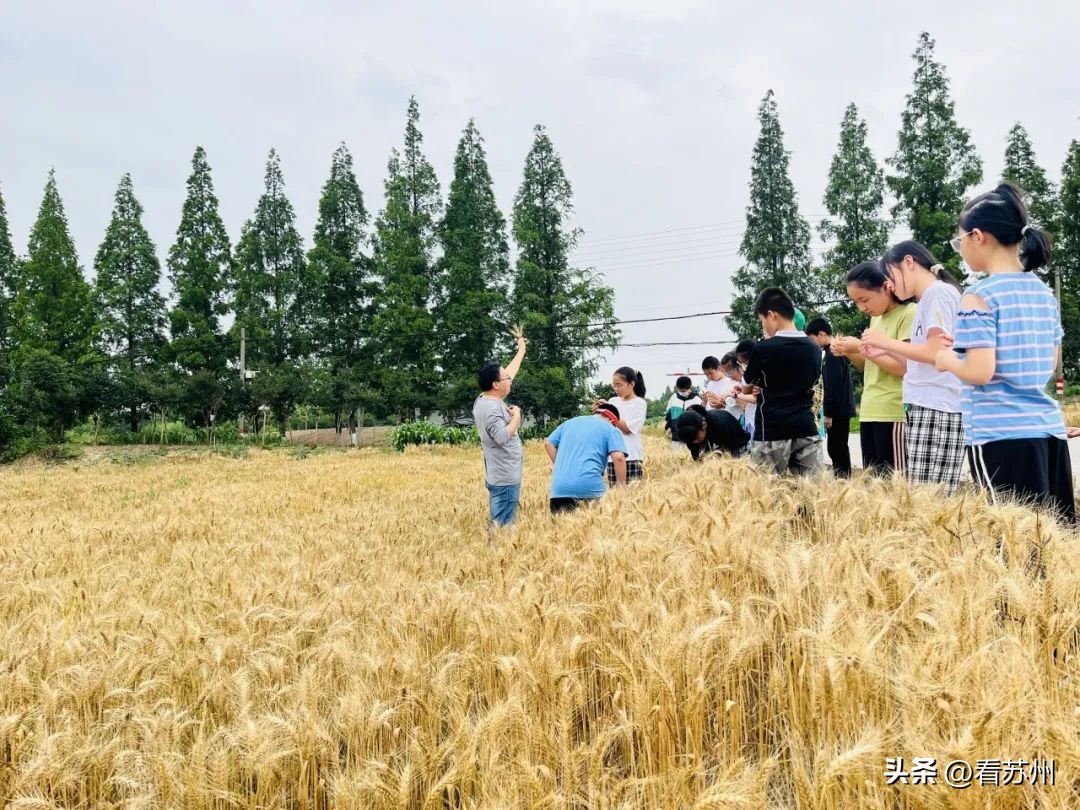 张家港市公示名单,张家港排名前十学校
