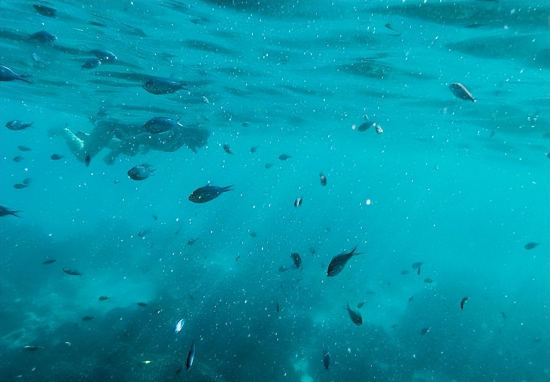 泰国小众海岛,泰国冷门又便宜的海岛