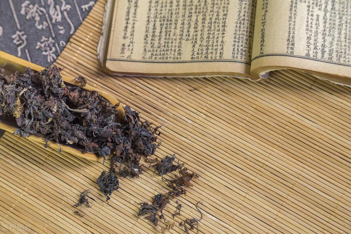 海藻（清化热痰药）