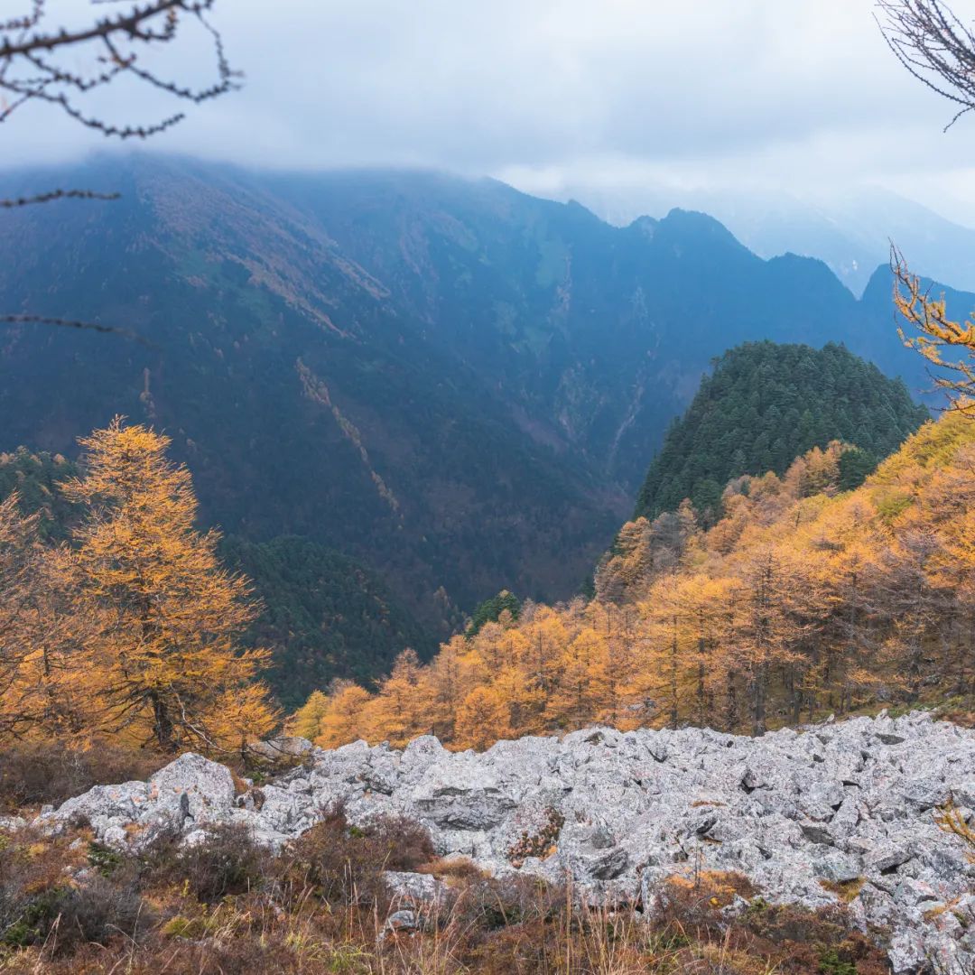 登太白山感受,太白山景区登顶拔仙台