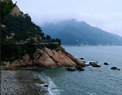 青岛男子捡到熊猫奇石，出价到百万也不卖，专家鉴定估价1.5亿