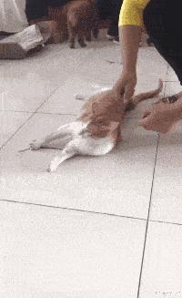 女生上学和出去玩的区别,女生在上课穿校服