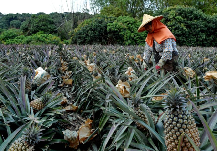 从大陆赚钱暴跌35%，台当局对抗大陆代价惨痛，请求进行对话磋商