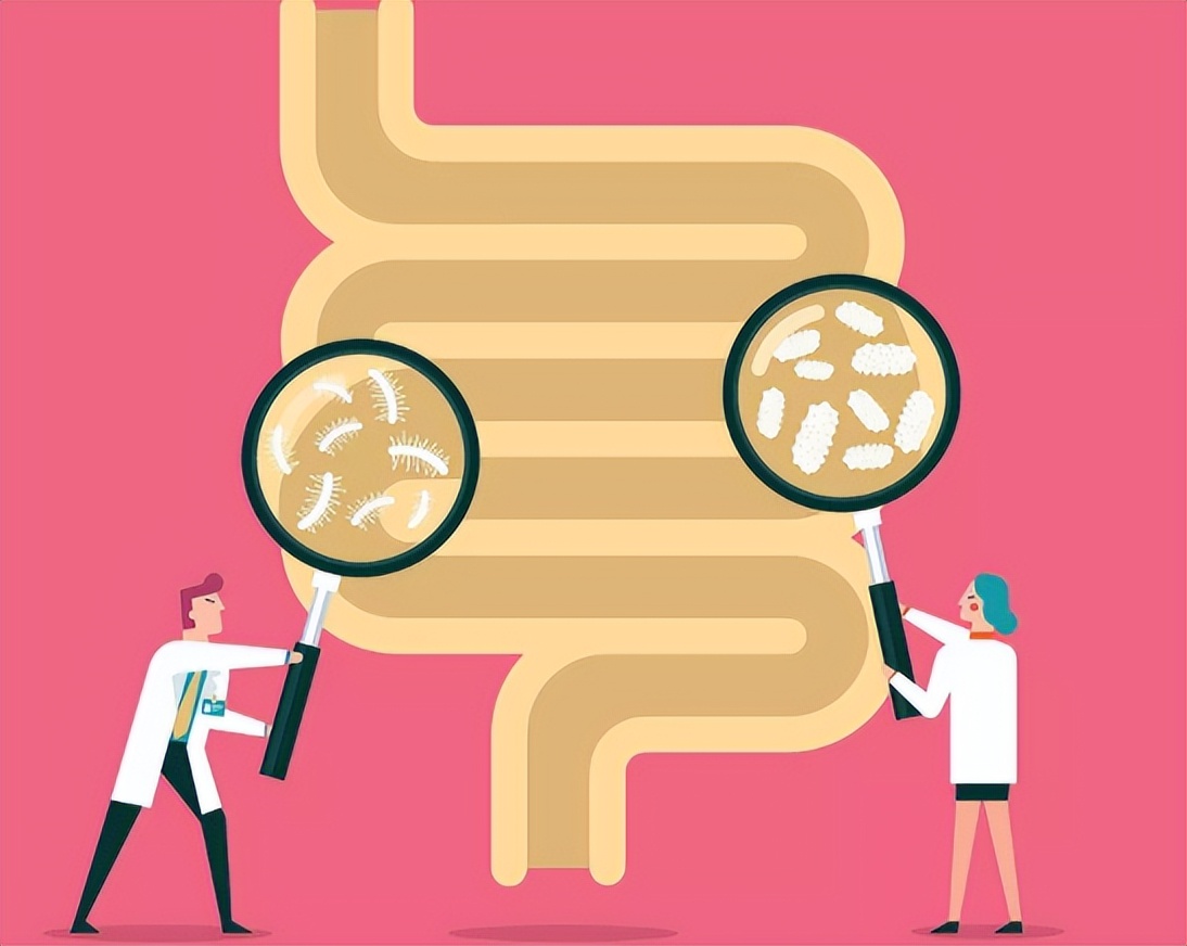 肠道不好的吃什么保护肠道,肠道常清理身体不生病