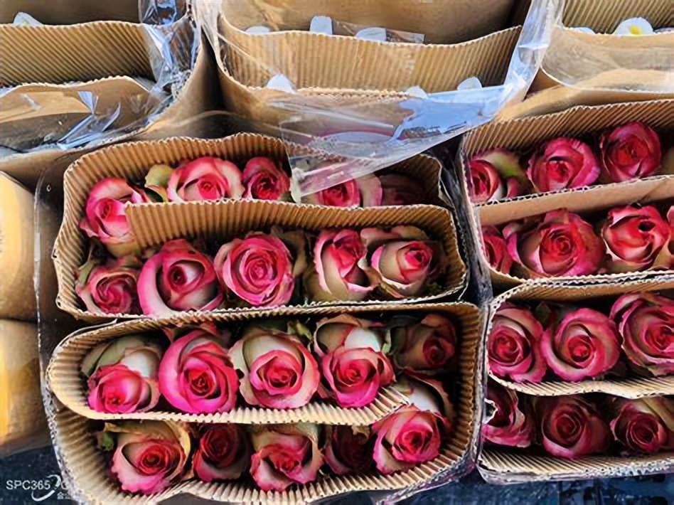 摆摊猜拳卖花利润,猜拳卖花划算吗