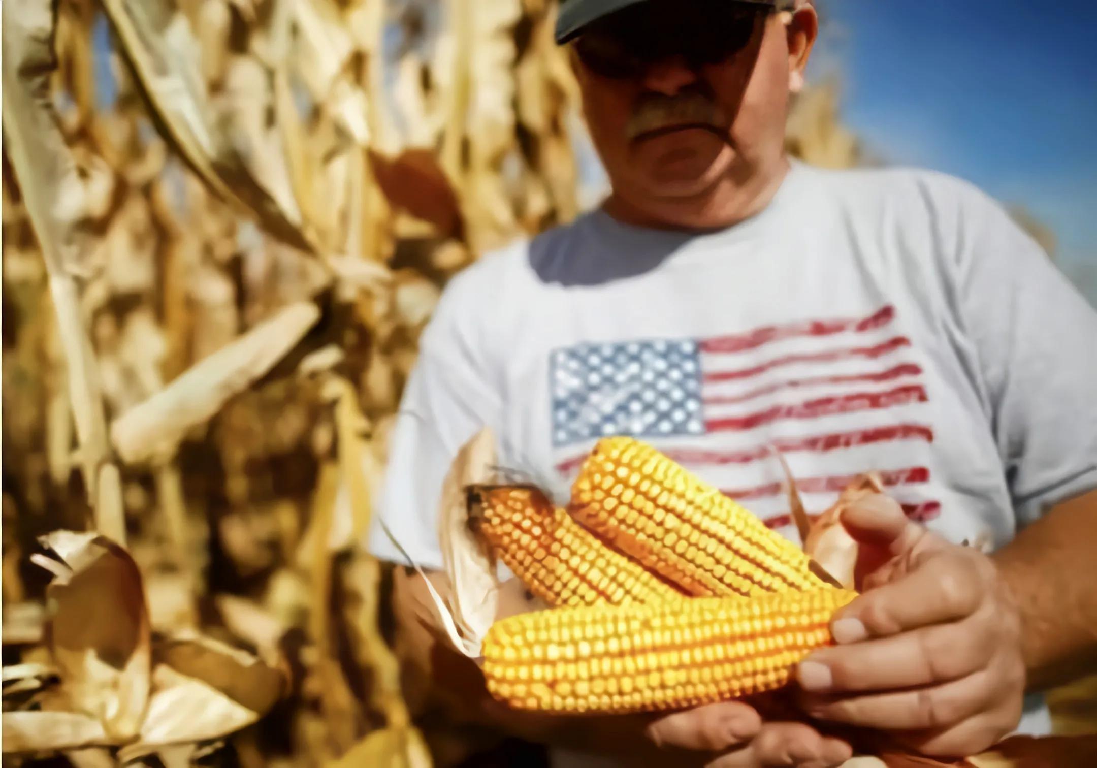 俄开放海参崴24小时，中国取消83万吨美国订单，拜登的时间不多了