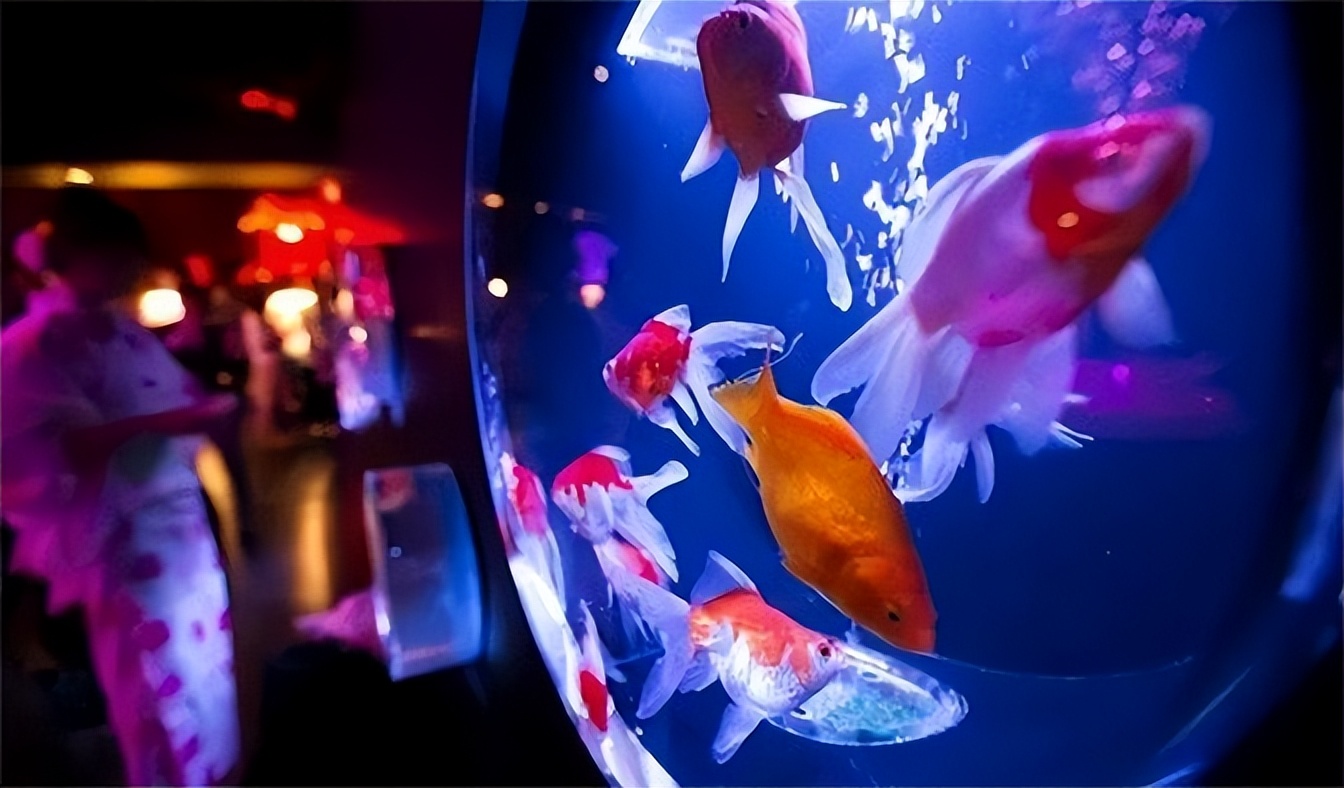 德国中餐馆灭门惨案,德国华人餐厅灭门惨案