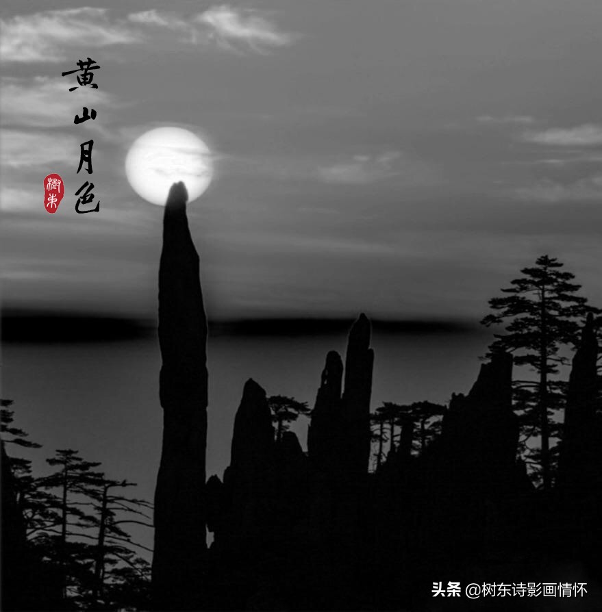 大雪压青松，青松挺且直，松在中华文化中象征着一种精神