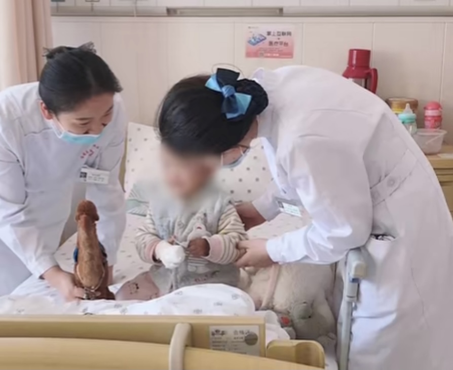 兔子为什么咬小孩的手指,兔子咬断11个月大小孩手指