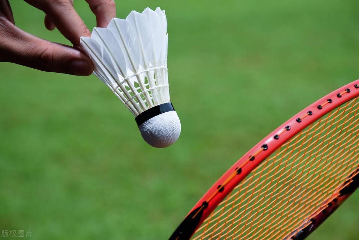 羽毛球拍子哪个牌子耐打耐磨耐用,羽毛球拍子哪个牌子最好