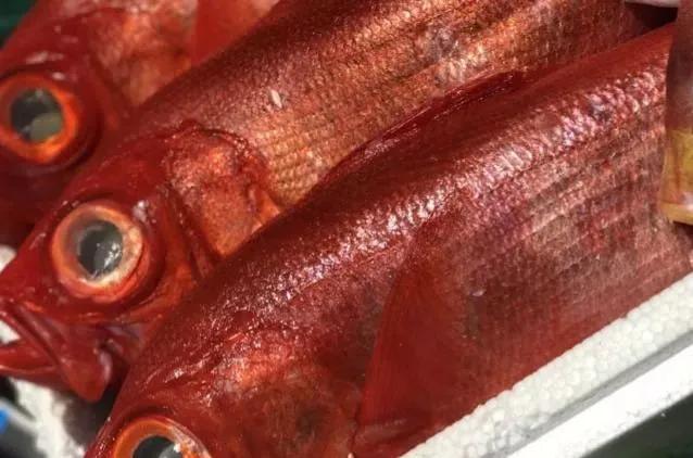 鱼类食材大全名称图片,鱼类菜谱大全100种