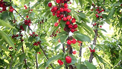 三亚最好的海滨老城,比三亚安静好的小城