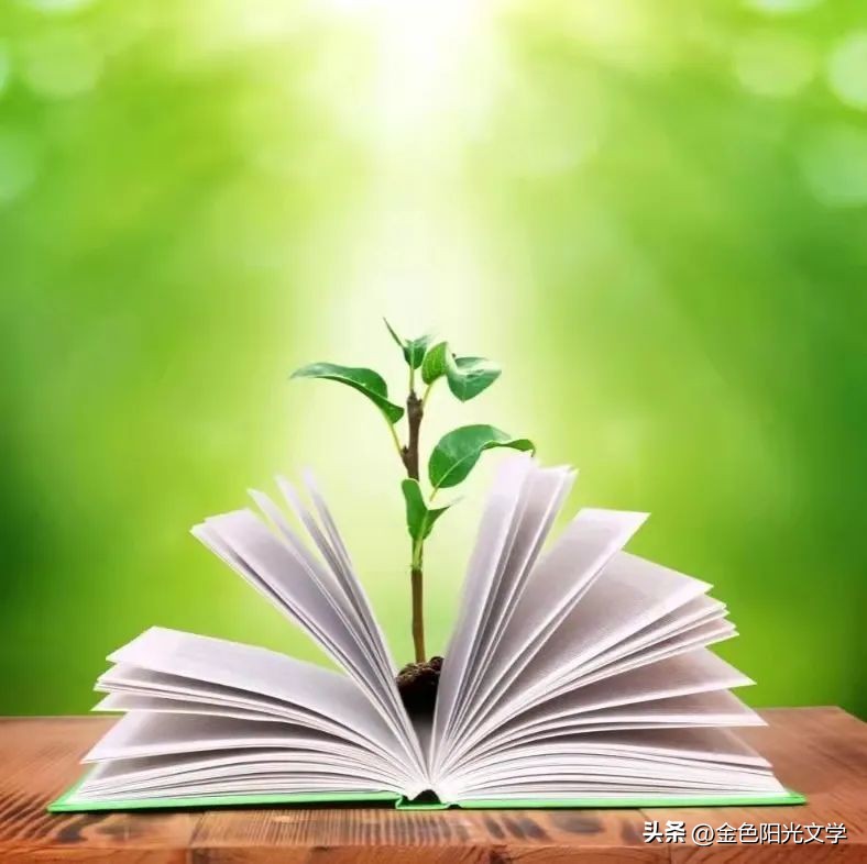 《跳蚤市场》《难忘的一课》《坐井观天》后传《我的自画像》