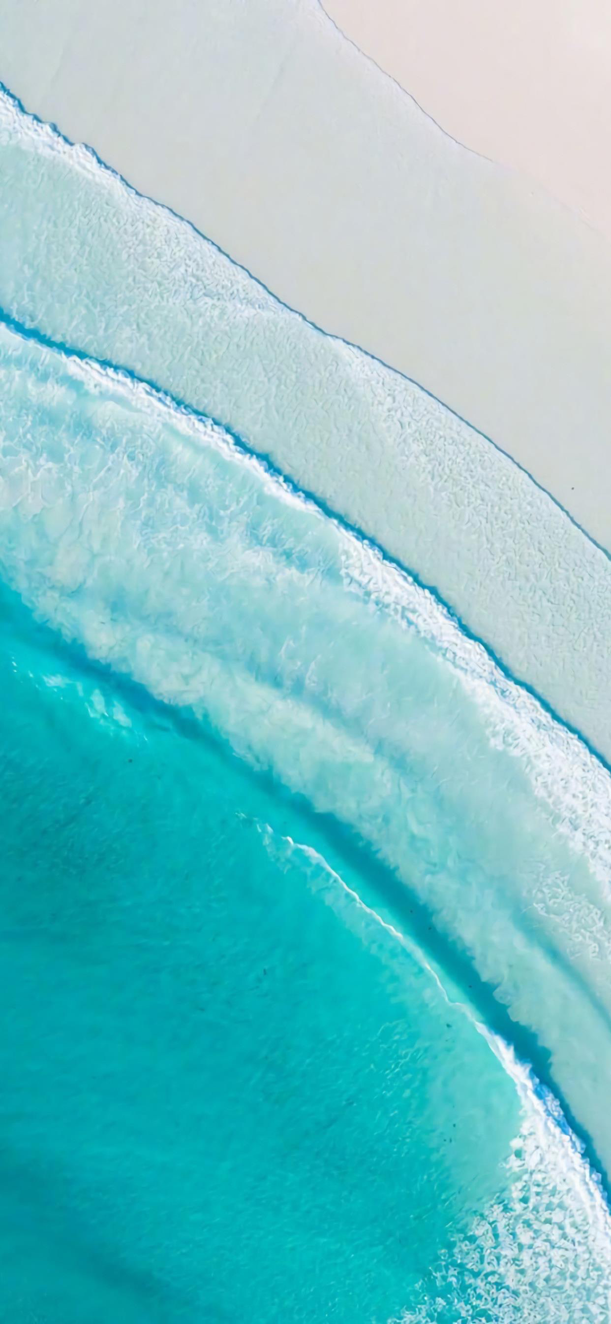 蝴蝶结亮晶晶壁纸,亮晶晶的壁纸