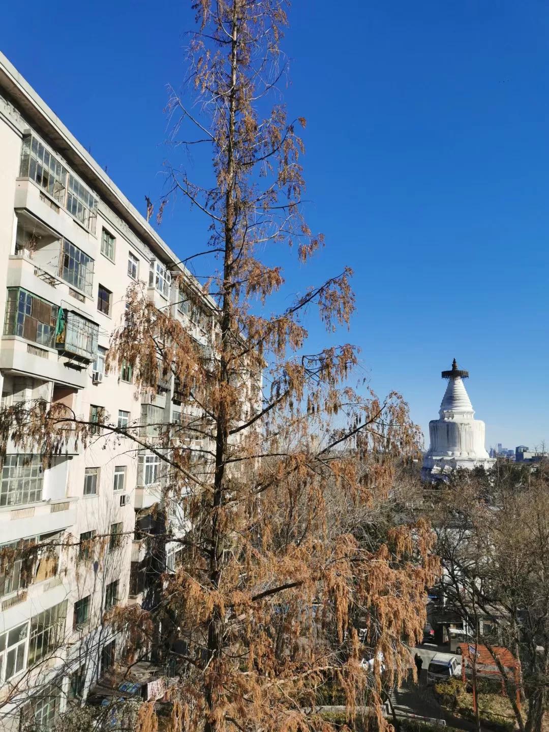 诡八楼现状,诡八楼讲了啥