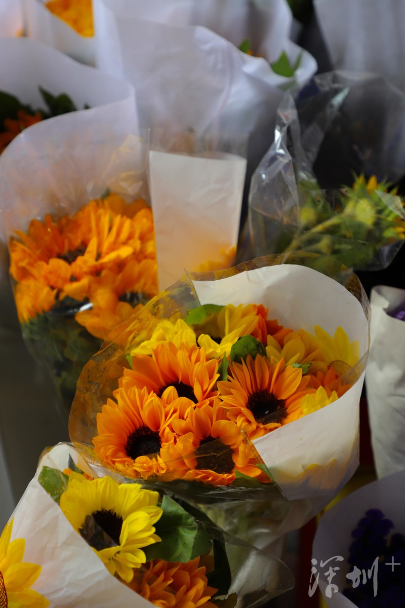 深圳八卦岭好玩的地方,深圳八卦岭附近拍照打卡圣地