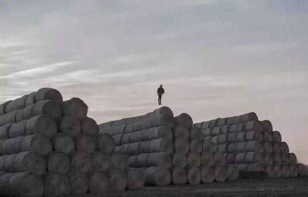 心上有个人才能活下去贾平凹,贾平凹心里有个人才能活下去图片