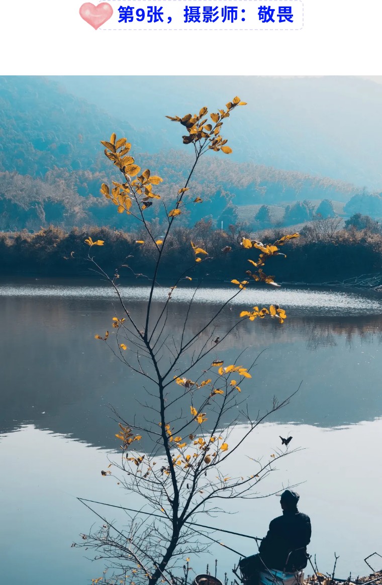 36个技巧助您手机拍大片,学会这7点轻松拍大片