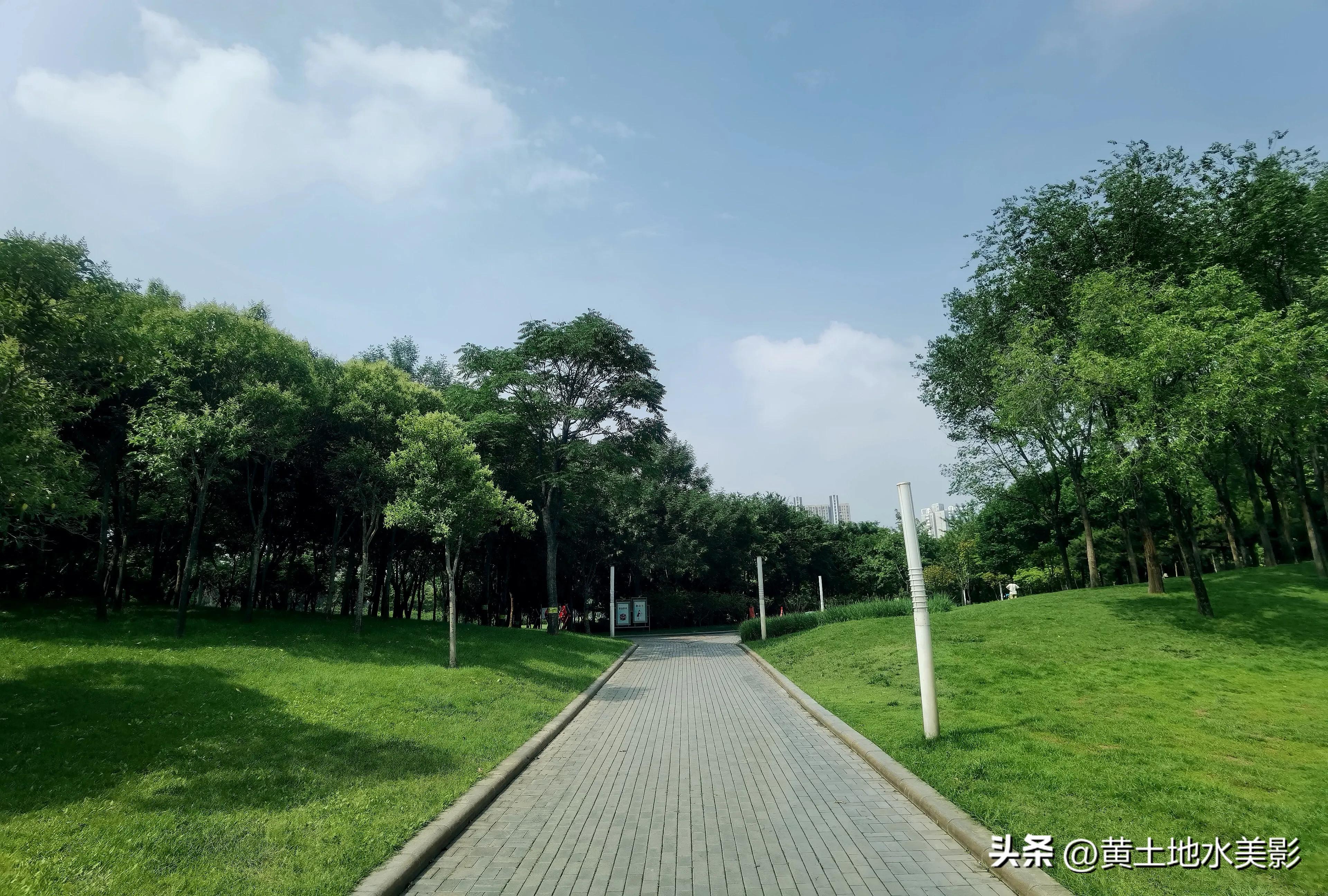 郑州儿童节周边游,郑州室外适宜小朋友游玩的景点