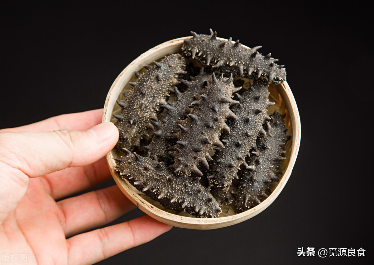 买海参怎么选,买海参的技巧