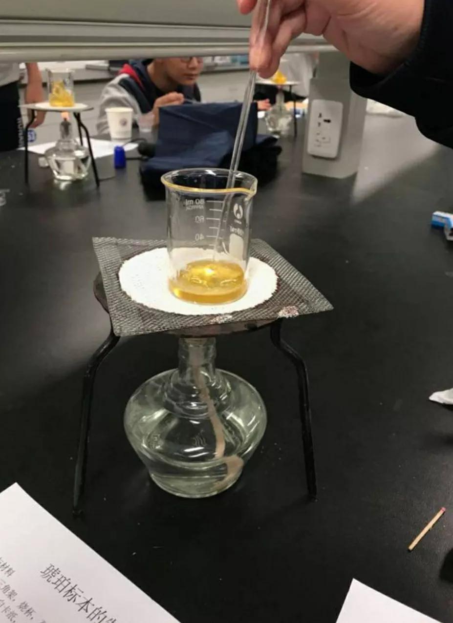 琥珀昆虫标本制作过程,琥珀标本的制作方法去气泡