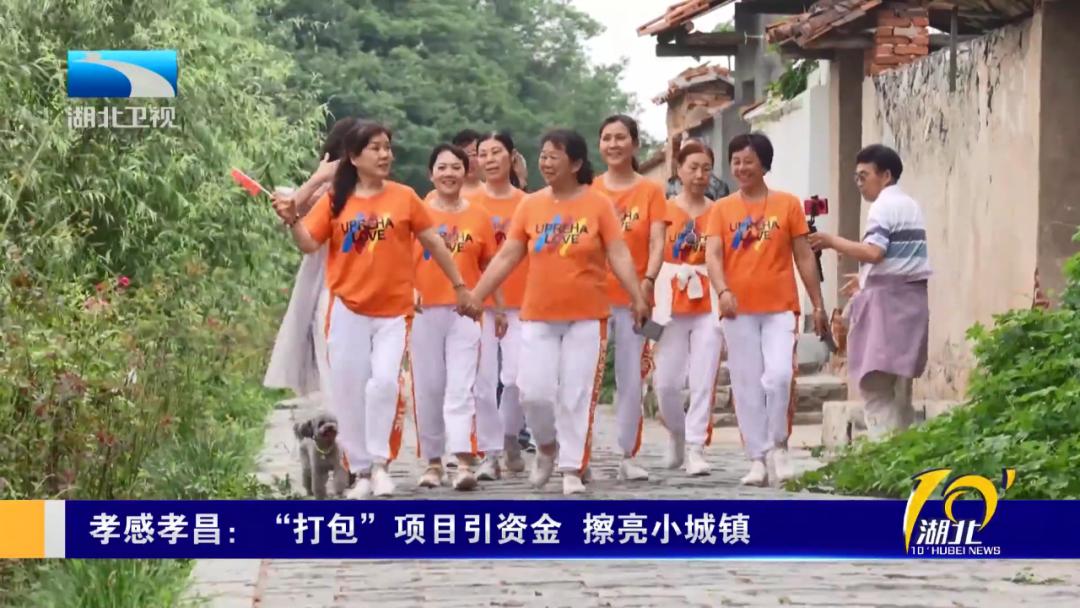 孝昌最新招商项目,2022年孝昌招商引资集中项目开工