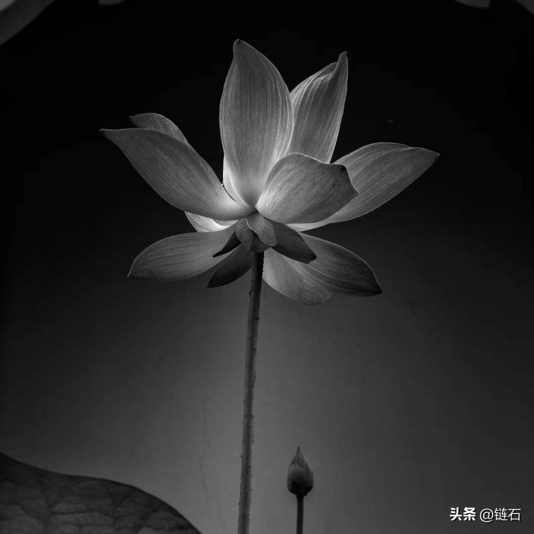 800x800灰色仿古通体大理石,最流行的灰色系大理石