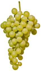 小众之美|AltoAdigeDOC上阿迪杰