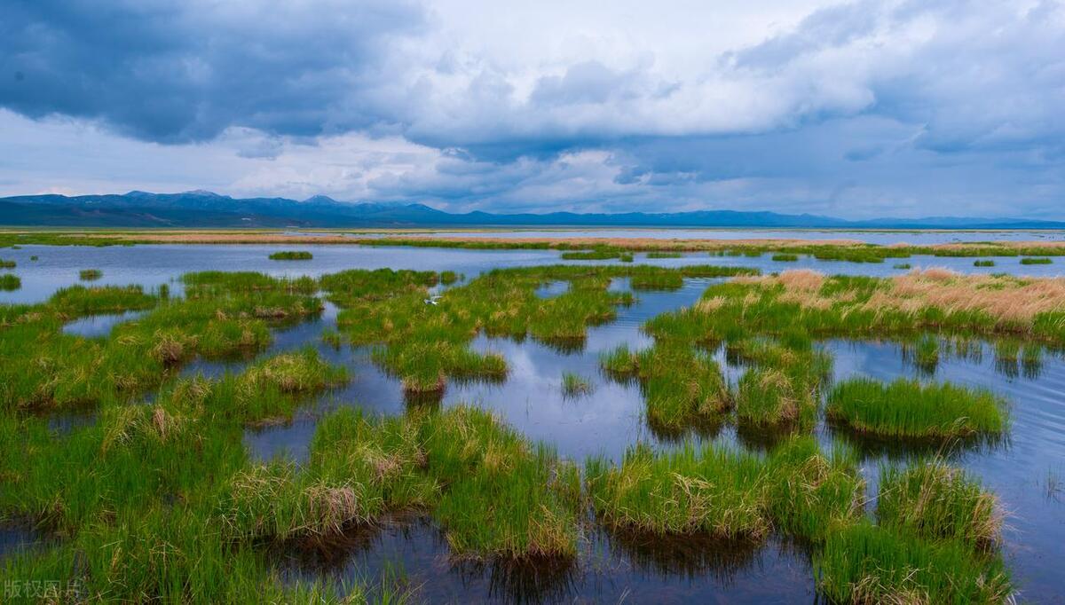 四川最美草原—若尔盖草原欣赏
