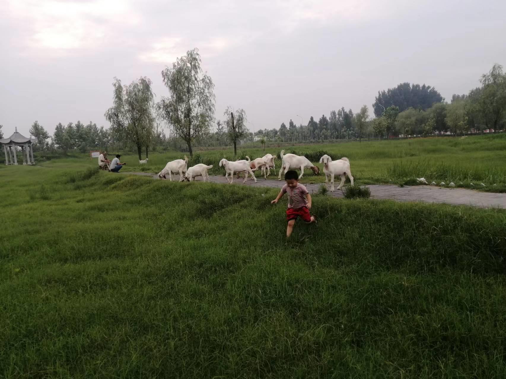 孩子玩游戏可以用手机吗,孩子能玩手机吗能玩游戏吗