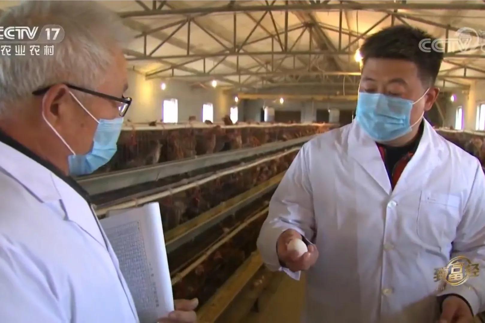 200亩荒山变成聚宝盆,荒山摇身一变成村民聚宝盆