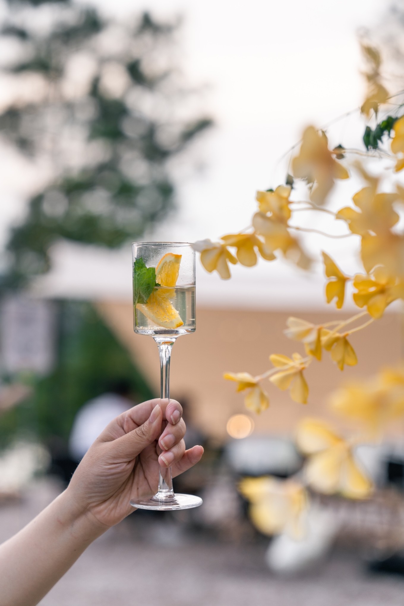 51camp安吉云松营地,帐篷营地森林音乐节