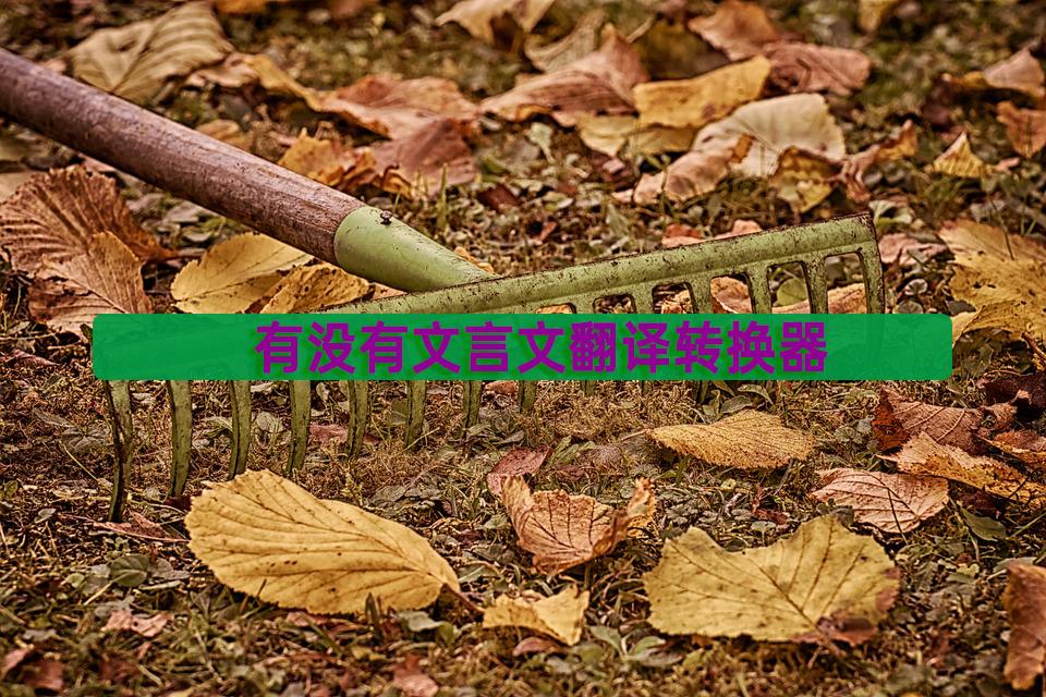 文言文翻译器在线翻译中文,文言文转换器的使用方法