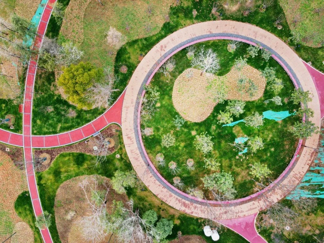 武汉市新城区最大公园,武汉鸳鸯锅