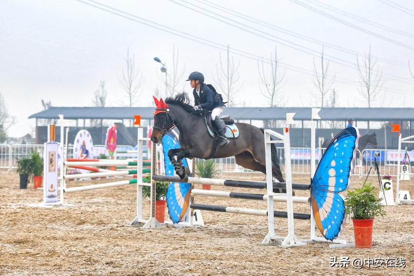 2022年安徽省青少年马术锦标赛暨第一届全国学生（青年）运动会马术运动资格选拔赛开幕