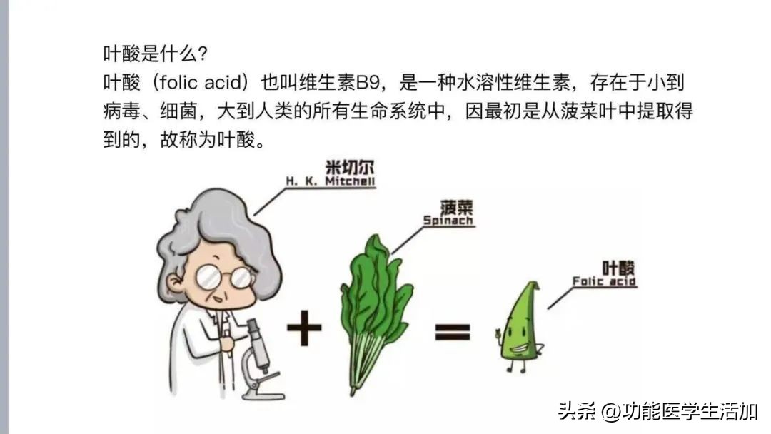 备孕需要提前吃叶酸吗,备孕必须提前三个月吃叶酸吗