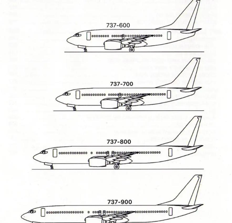 波音737每飞行1000公里成本多少,波音737-800飞行一次能赚多少钱