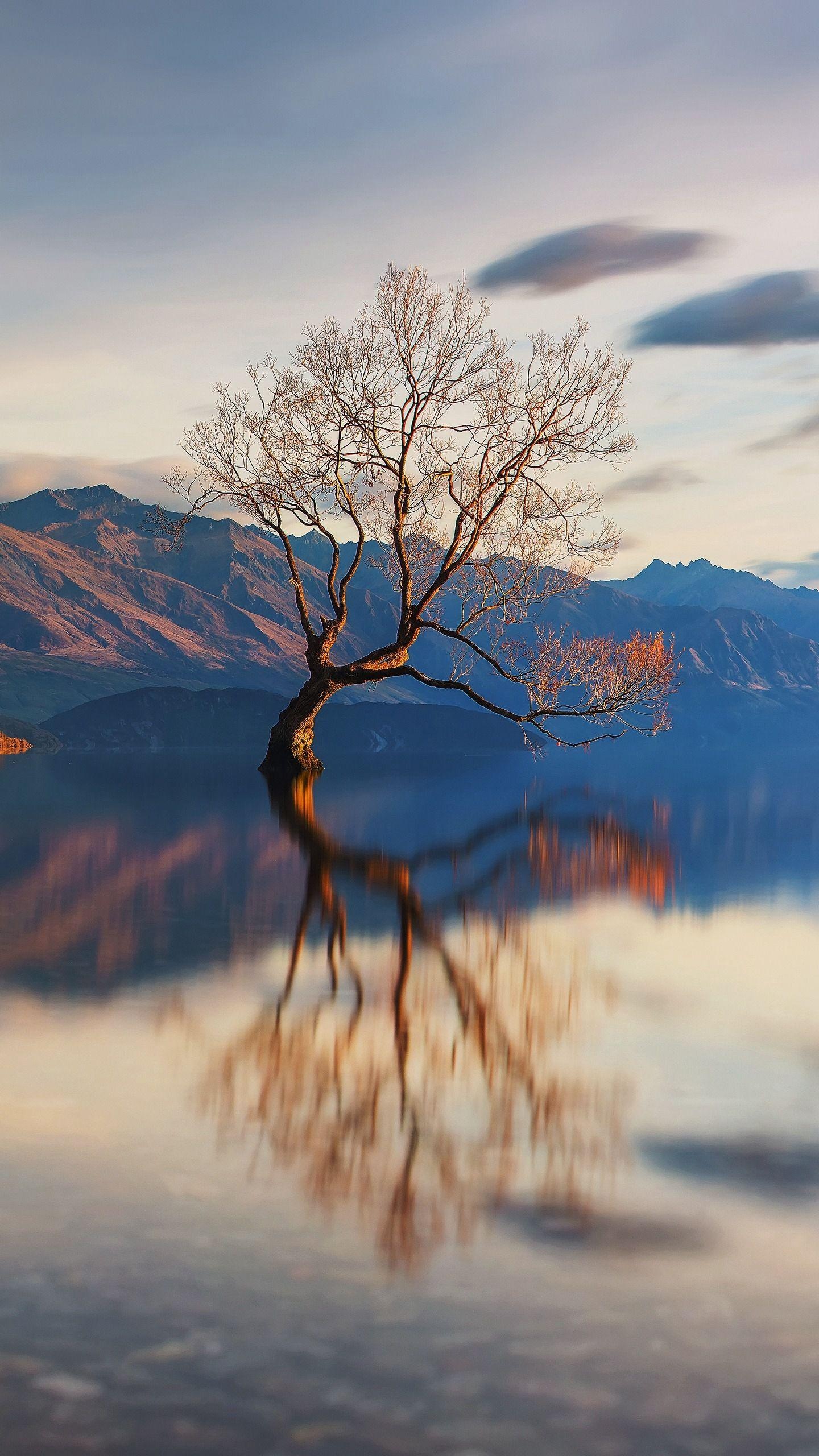 中国最美风景壁纸草原风景竖屏,山水风景1080*1920高清竖屏壁纸