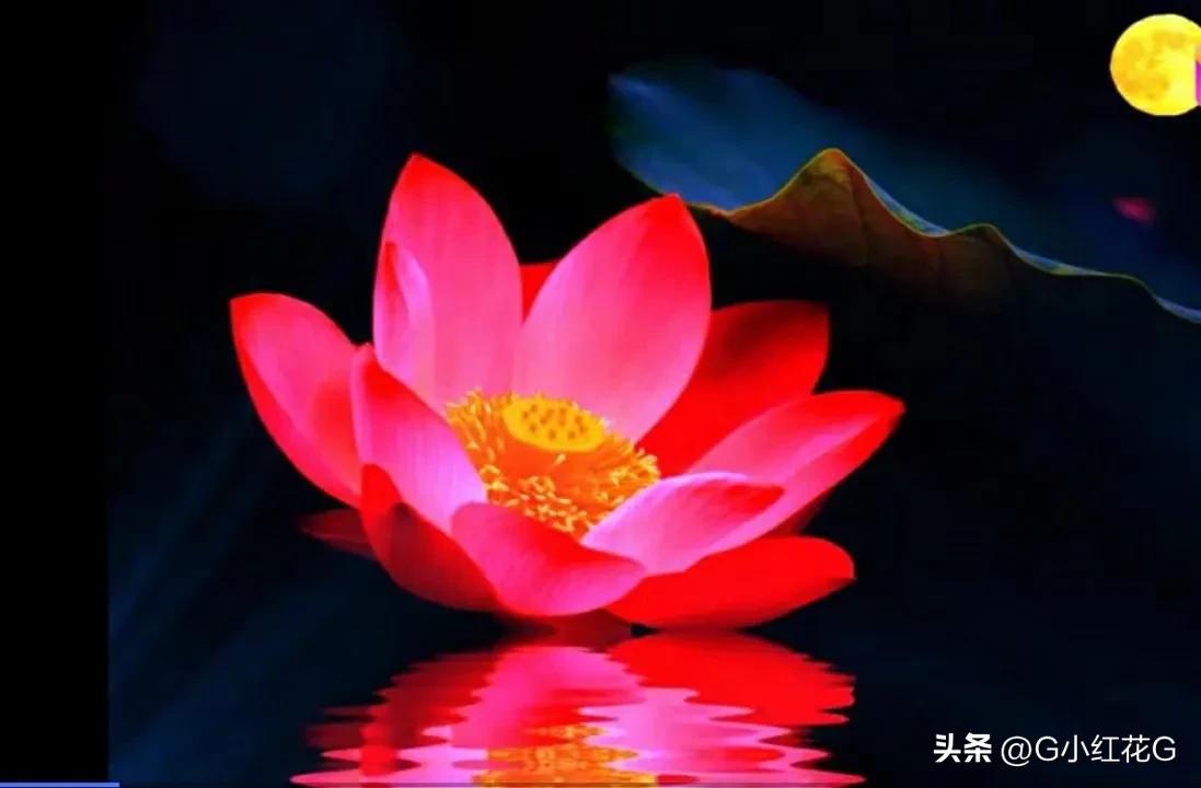 对联知识与禁忌,对联知识讲座