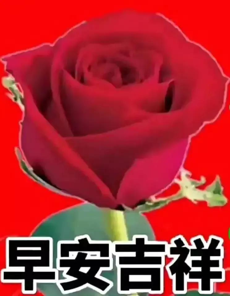 2023年农历是什么年癸卯年,农历2023年癸卯年正月结婚吉日