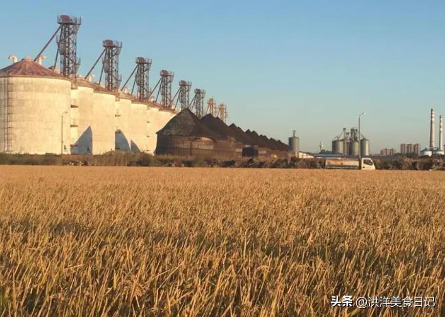 东北喝酒很猛的三个人,东北喝酒很猛的两个人100多瓶