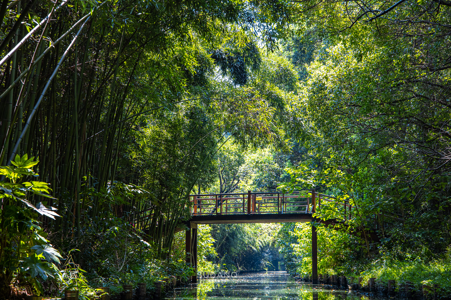 苏州各县到底有多强,苏州究竟有多强