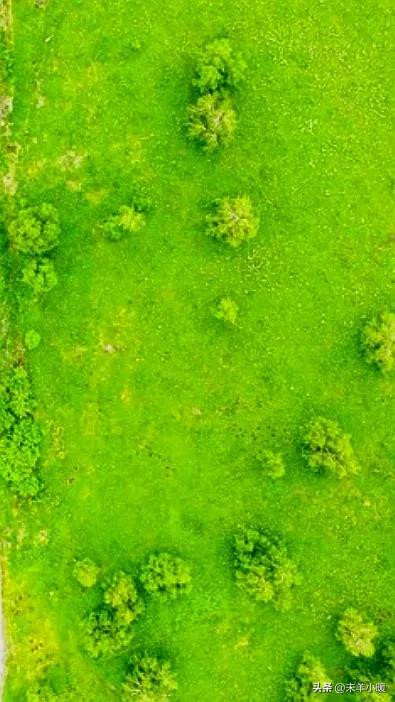 超清超美独一无二手机壁纸图片,养眼养心的壁纸