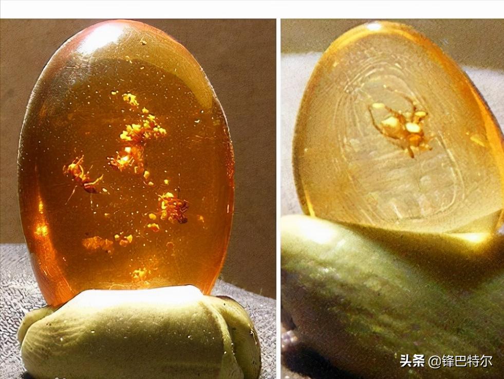 俄罗斯特产必买清单及价格,俄罗斯特产必购物清单