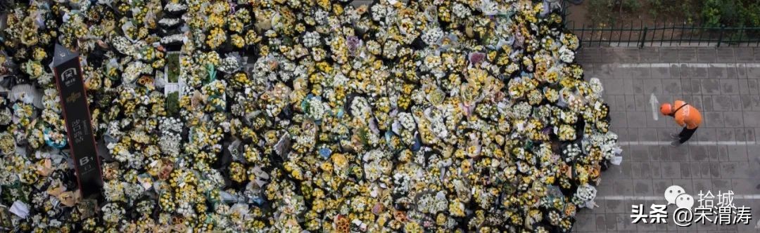 古镇摄影大赛获奖名单,北京摄影大赛获奖照片